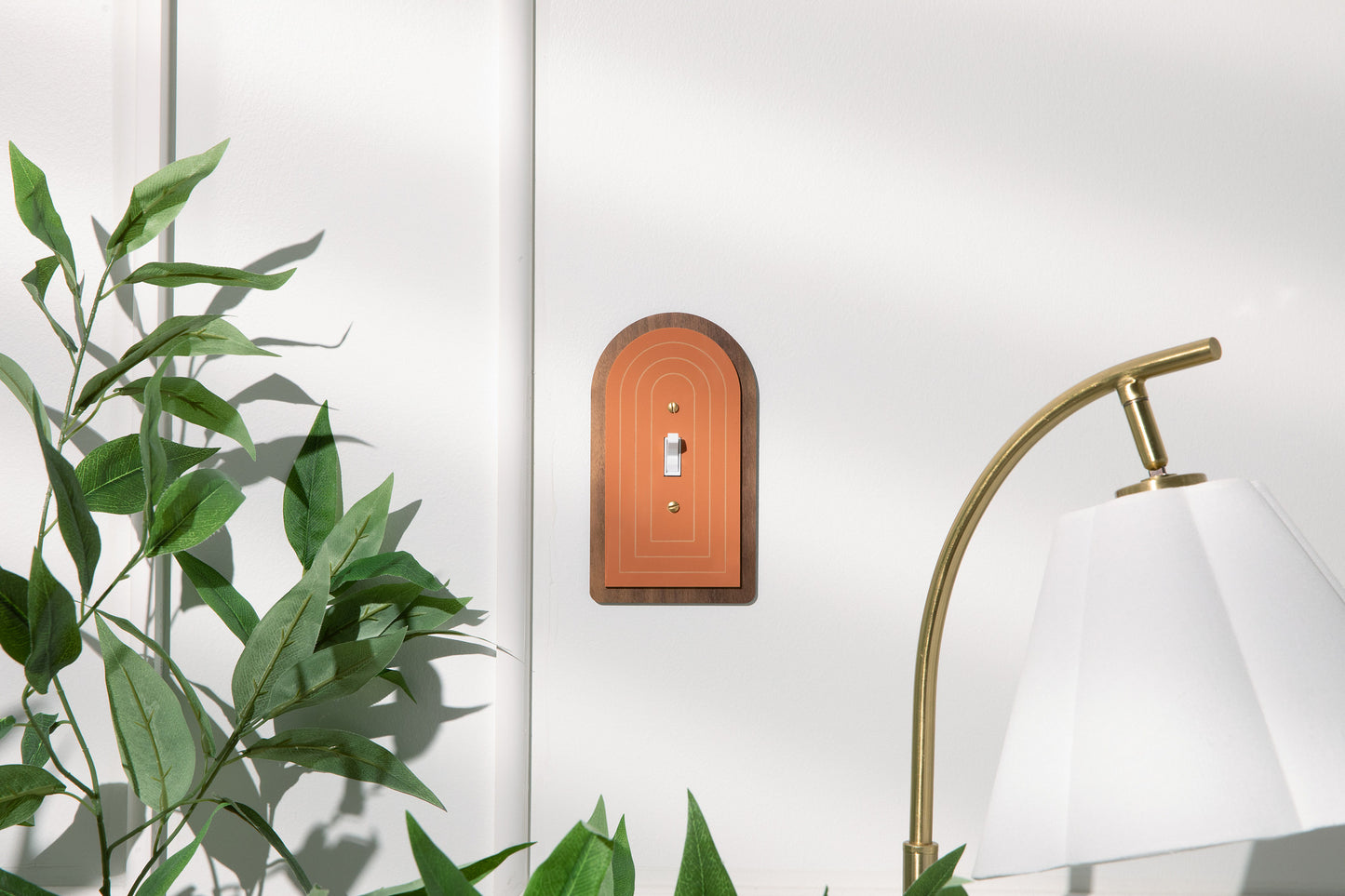 Arch Light Switch Plate on Wood